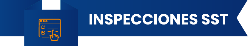 Icono Inspecciones SST